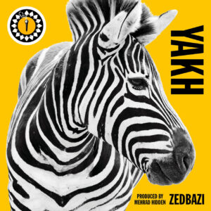 دانلود آهنگ زد بازی به نام یخ